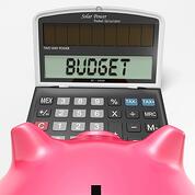marketing budget
