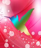 google hummingbird