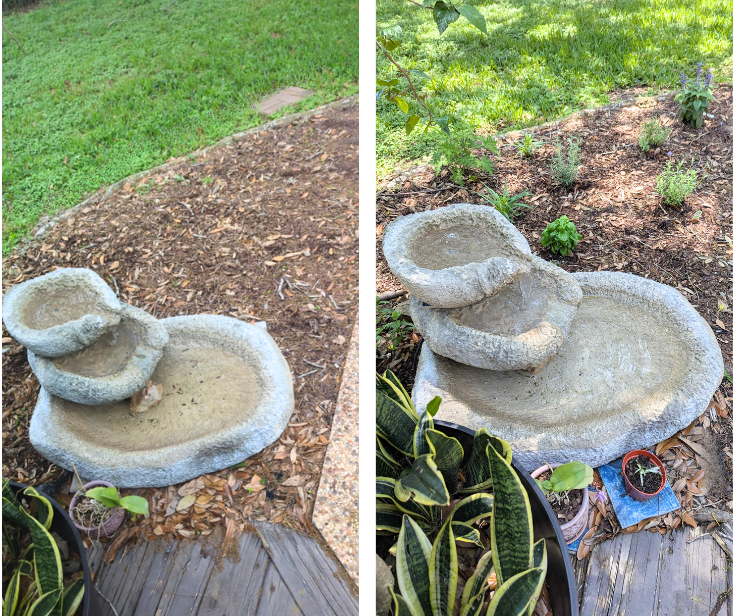 Bonafide - What Google AI Mode Means for Search - The AI-planned garden bed, before and after implementation